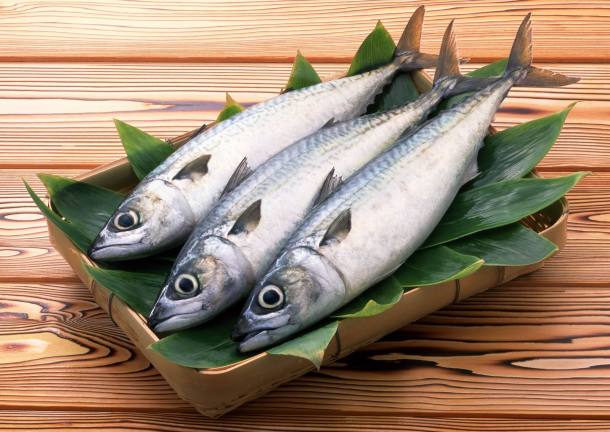 Makanan mengandung Protein Mempengaruhi Kecerdasan Anak-ikan